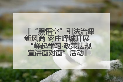 “黑悟空”引法治课新风尚 枣庄峄城开展“峄起学习·政策法规宣讲面对面”活动