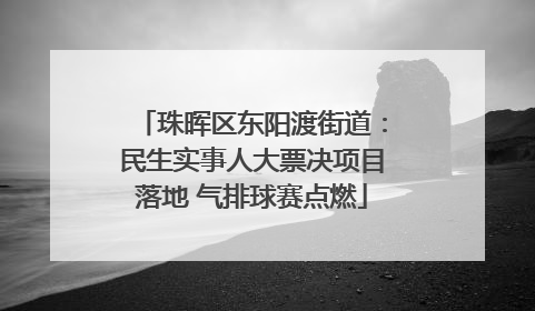 珠晖区东阳渡街道：民生实事人大票决项目落地 气排球赛点燃