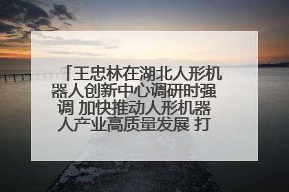 王忠林在湖北人形机器人创新中心调研时强调 加快推动人形机器人产业高质量发展 打造具有全国影响力的研发创新基地