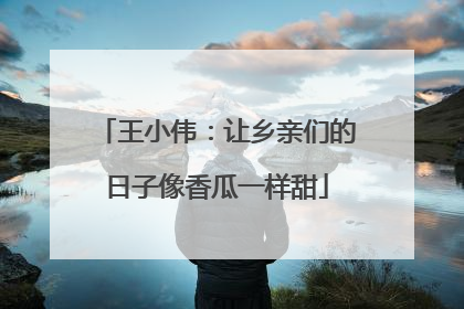 王小伟：让乡亲们的日子像香瓜一样甜