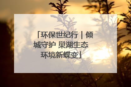 环保世纪行｜倾城守护 巢湖生态环境新蝶变