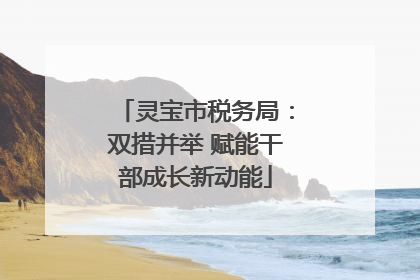 灵宝市税务局：双措并举 赋能干部成长新动能