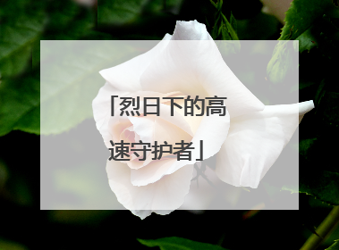 烈日下的高速守护者