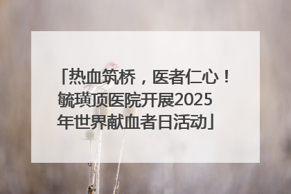 热血筑桥，医者仁心！毓璜顶医院开展2025年世界献血者日活动