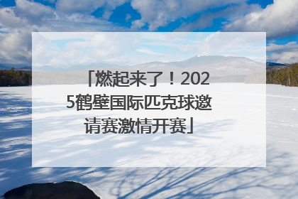 燃起来了！2025鹤壁国际匹克球邀请赛激情开赛