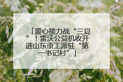 爱心接力战“三夏”！雷沃公益机收开进山东重工派驻“第一书记村”