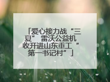 爱心接力战“三夏” 雷沃公益机收开进山东重工“第一书记村”
