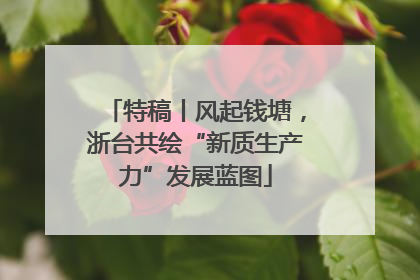特稿丨风起钱塘，浙台共绘“新质生产力”发展蓝图