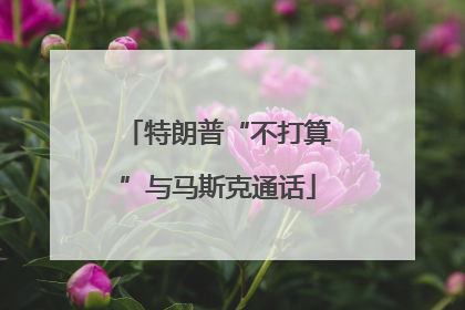 特朗普“不打算”与马斯克通话