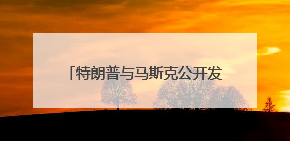 特朗普与马斯克公开发生“口水战” 美民众：混乱局面令人担忧