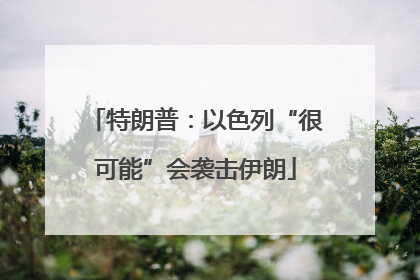 特朗普：以色列“很可能”会袭击伊朗