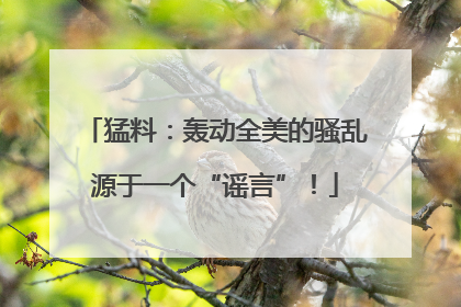 猛料：轰动全美的骚乱源于一个“谣言”！