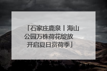 石家庄鹿泉丨海山公园万株荷花绽放 开启夏日赏荷季