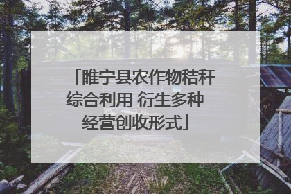睢宁县农作物秸秆综合利用 衍生多种经营创收形式