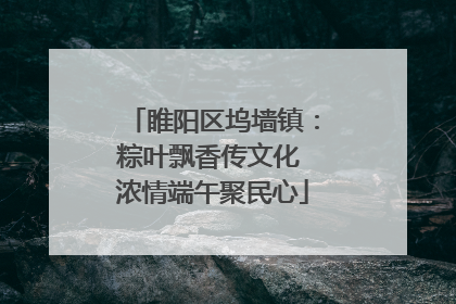睢阳区坞墙镇：粽叶飘香传文化 浓情端午聚民心