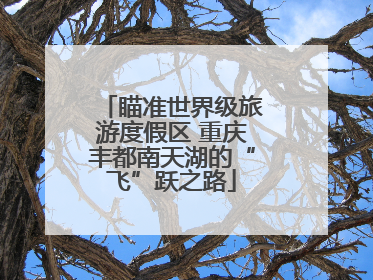 瞄准世界级旅游度假区 重庆丰都南天湖的“飞”跃之路