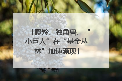 瞪羚、独角兽、“小巨人”在“基金丛林”加速涌现