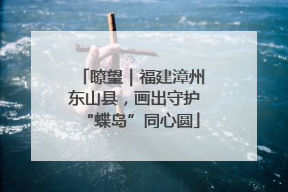 瞭望｜福建漳州东山县，画出守护“蝶岛”同心圆