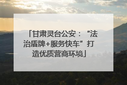 甘肃灵台公安：“法治盾牌+服务快车”打造优质营商环境