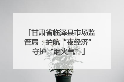 甘肃省临泽县市场监管局：护航“夜经济” 守护“烟火气”