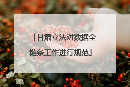 甘肃立法对数据全链条工作进行规范