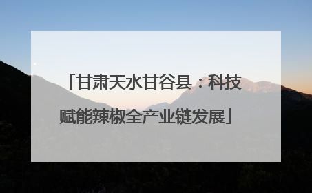 甘肃天水甘谷县：科技赋能辣椒全产业链发展