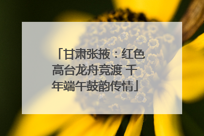 甘肃张掖：红色高台龙舟竞渡 千年端午鼓韵传情