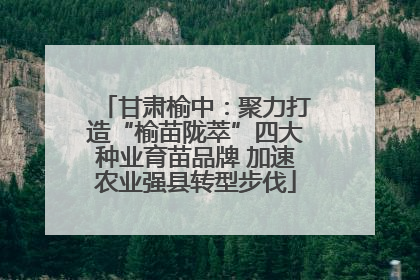 甘肃榆中：聚力打造“榆苗陇萃”四大种业育苗品牌 加速农业强县转型步伐
