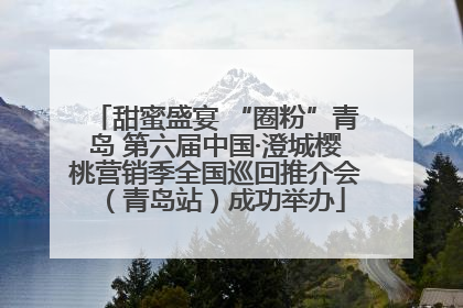 甜蜜盛宴 “圈粉”青岛 第六届中国·澄城樱桃营销季全国巡回推介会（青岛站）成功举办