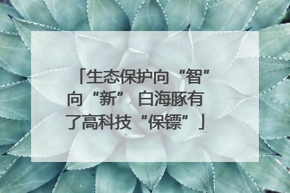 生态保护向“智”向“新” 白海豚有了高科技“保镖”