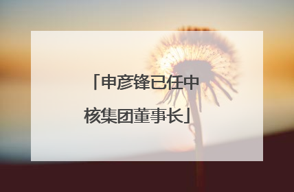 申彦锋已任中核集团董事长