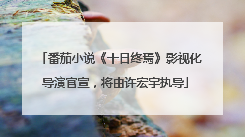 番茄小说《十日终焉》影视化导演官宣，将由许宏宇执导