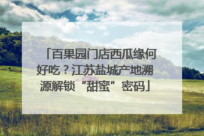 百果园门店西瓜缘何好吃？江苏盐城产地溯源解锁“甜蜜”密码
