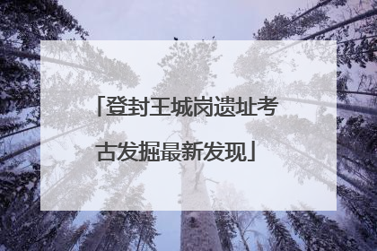 登封王城岗遗址考古发掘最新发现