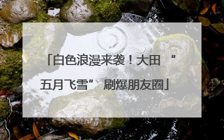 白色浪漫来袭！大田 “五月飞雪” 刷爆朋友圈