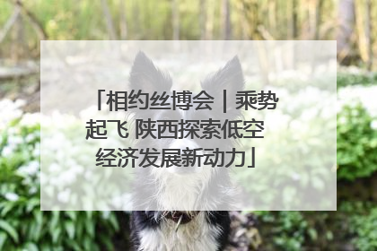 相约丝博会｜乘势起飞 陕西探索低空经济发展新动力