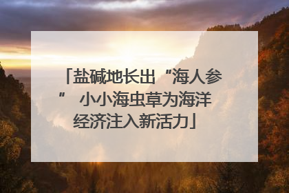 盐碱地长出“海人参” 小小海虫草为海洋经济注入新活力