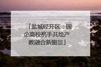 盐城经开区：国企高校携手共绘产教融合新图景