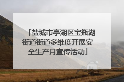 盐城市亭湖区宝瓶湖街道街道多维度开展安全生产月宣传活动