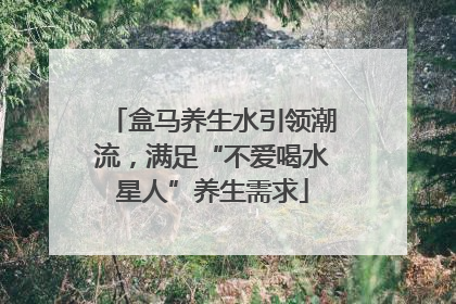 盒马养生水引领潮流，满足“不爱喝水星人”养生需求