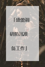 盛蕾调研防汛准备工作