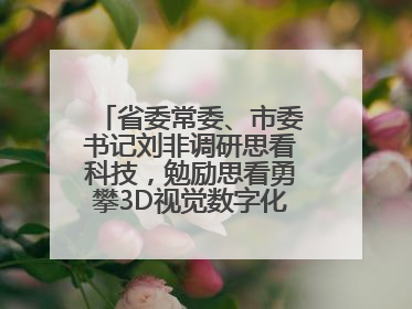 省委常委、市委书记刘非调研思看科技，勉励思看勇攀3D视觉数字化科技高峰