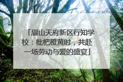 眉山天府新区行知学校：枇杷橙黄时，共赴一场劳动与爱的盛宴