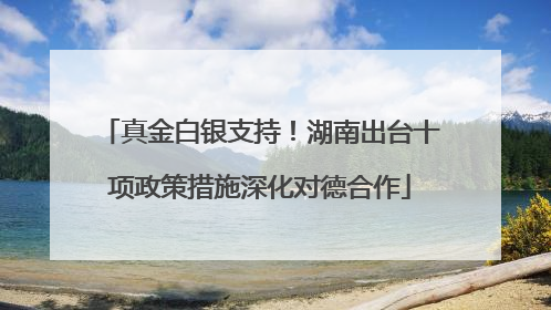 真金白银支持！湖南出台十项政策措施深化对德合作