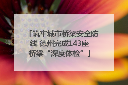 筑牢城市桥梁安全防线 德州完成143座桥梁“深度体检”