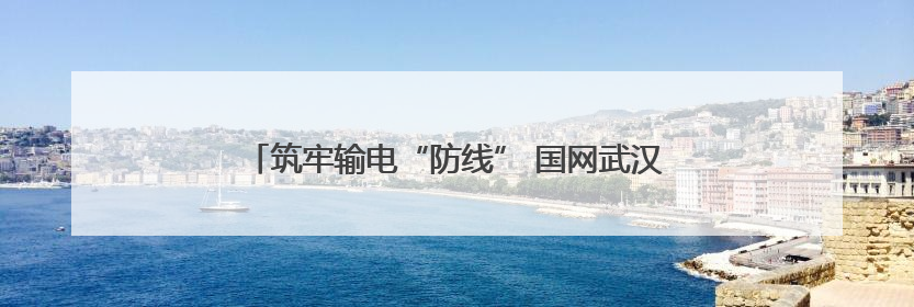 筑牢输电“防线” 国网武汉供电多维防外破护航电网安全