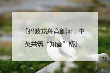 碧波龙舟竞剑河，中英共筑“知音”桥