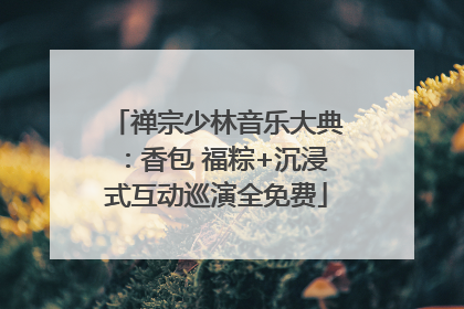 禅宗少林音乐大典：香包 福粽+沉浸式互动巡演全免费