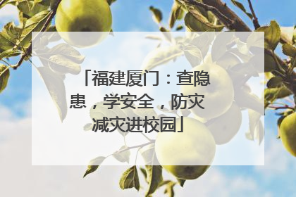 福建厦门：查隐患，学安全，防灾减灾进校园