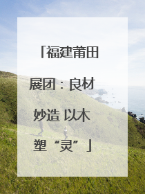 福建莆田展团：良材妙造 以木塑“灵”